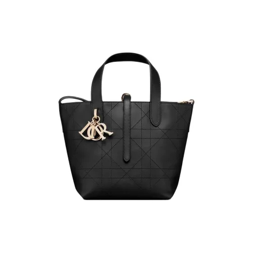 DIOR Телячья кожа Одно плечо Сумка Маленькая Женская Черная