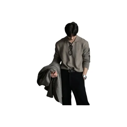 BISHE Кофейный Мужской Трикотаж