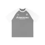 Серый и Белый