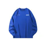 Синий Кляйна