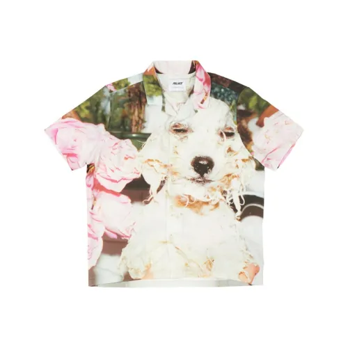 Дворцовый Многоцветный Унисекс Рубашки