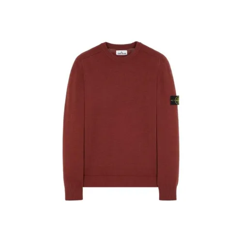 STONE ISLAND Мужские свитшоты цвета "Румяный"