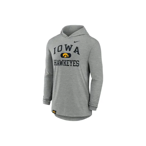 nike Dri Fit CollegeIowa FW24 Американский винтаж Толстовка Мужской Серый
