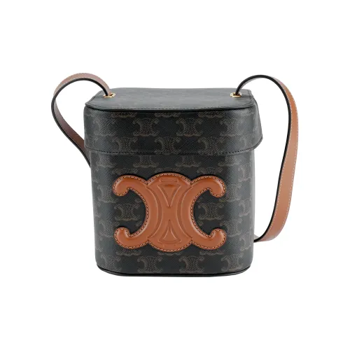 CELINE Triumph Gate Triomphe Холст Телячья кожа Коробка Сумка Сумка через плечо Сумка среднего размера Женская Коричневая