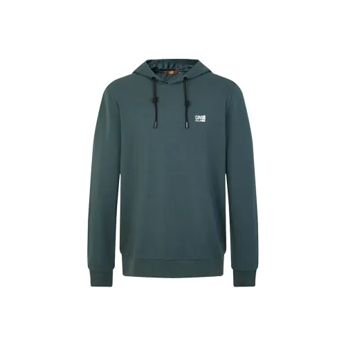 Cavalli Class Свитшот Мужской Темно-Серый Зеленый