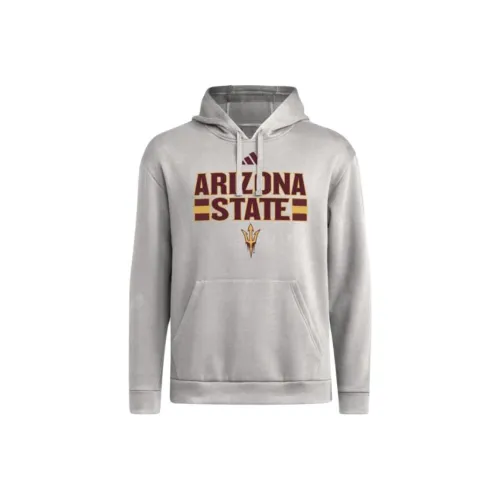 Adidas Серый Мужской Свитшот