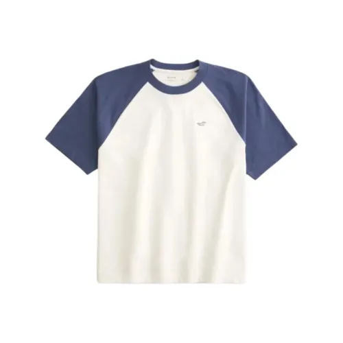 Hollister T-Shirt Мужская Белая и Синяя