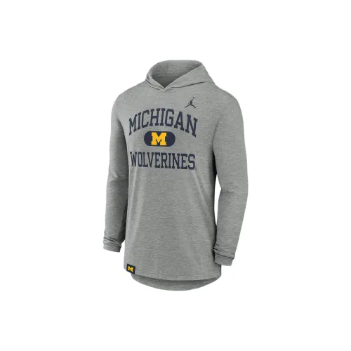Jordan Michigan Wolverines Серый Мужской Свитшот