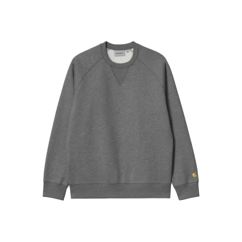 Carhartt WIP FW24 SS24 Chase Sweat Толстовка Мужская Темно-Серый