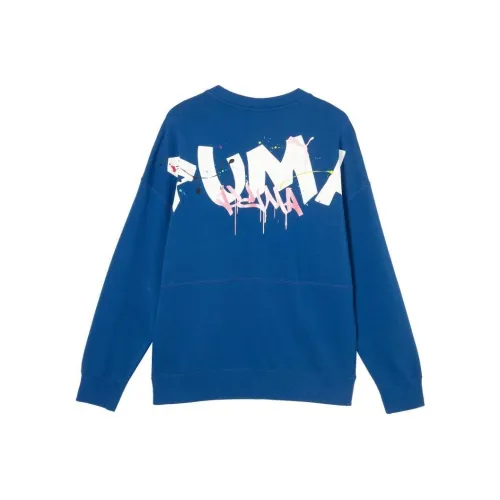 PUMA Толстовка Мужская Глазурь Синяя