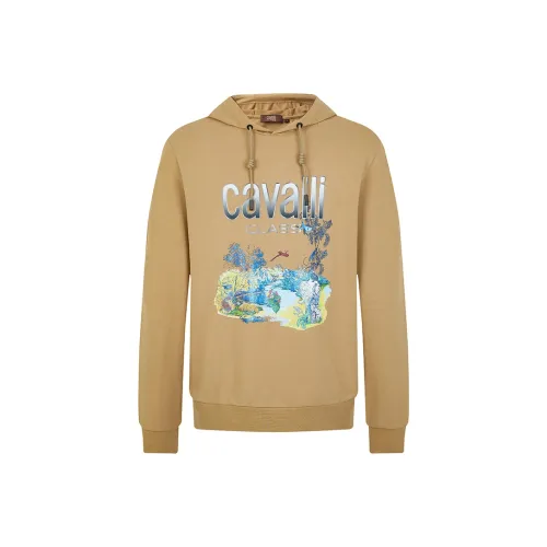 Cavalli Class Толстовка Мужской CAMEL