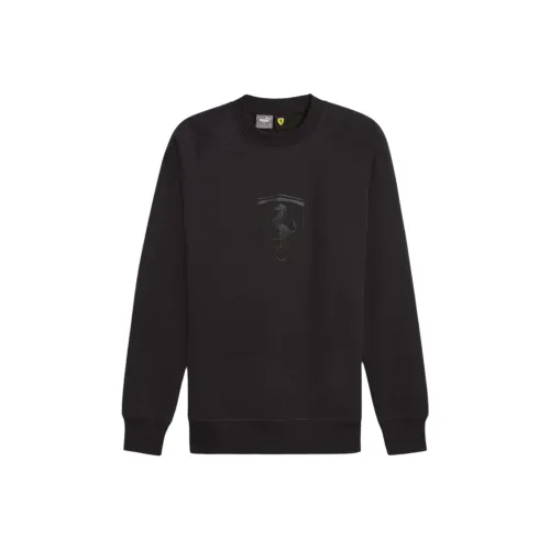 PUMA Borussia Dortmund Толстовка Мужская Черная