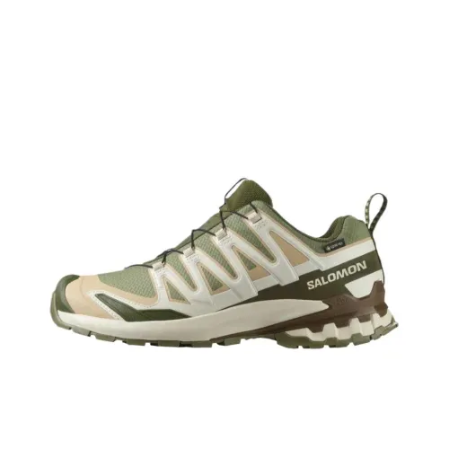Salomon Collaboration XA Pro 3D V9 Беговые кроссовки Низкий топ Зеленый Бежевый Мужской