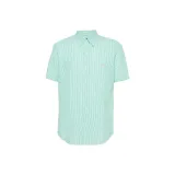 Светло-зеленый