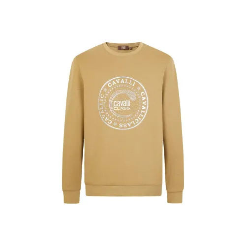 Cavalli Class Мужские Свитшоты