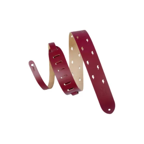 LEVY'S Чехлы для инструментов и сумки