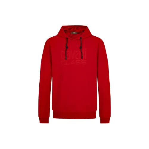 Cavalli Class Мужские Свитшоты