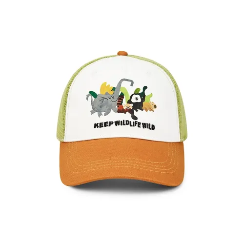 BALABALA x HONGSHANSENLINDONGWUYUAN Хлопок Полиэстер Смесь Кепки Детские