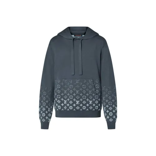 LOUIS VUITTON FW23 Толстовка Мужской Серый