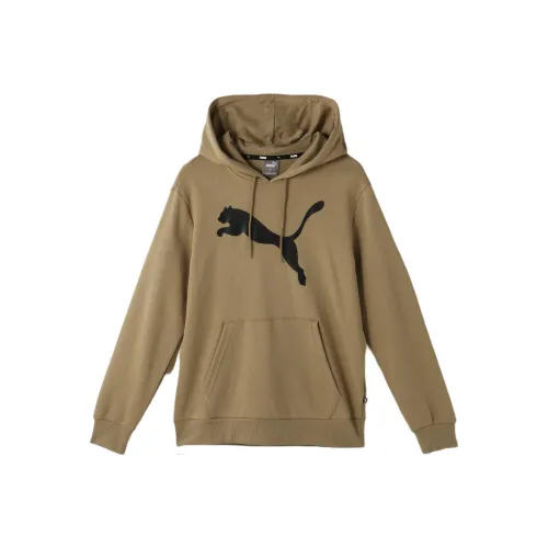 PUMA Толстовка Мужской Oak Tree Brown