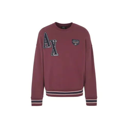 ARMANI EXCHANGEAE FW23 Свитшот Мужской