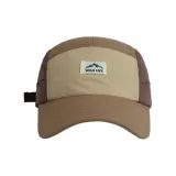 Верблюжий цвет