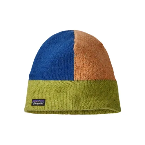 Patagonia Переработанная шерсть Шапки-бини Унисекс Синий Зеленый