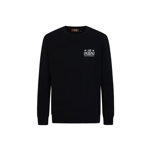 Cavalli Class Мужские Свитшоты