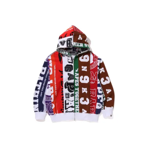 A BATHING APE Многоцветные Мужские Толстовки