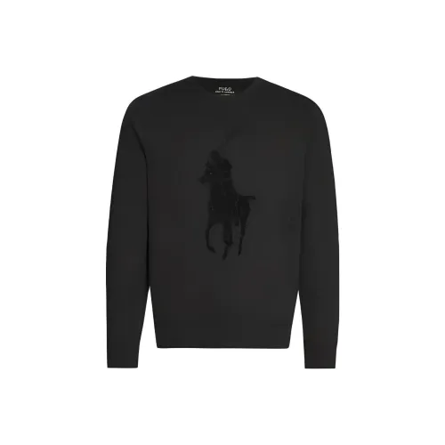 Polo Ralph Lauren Толстовка Мужская Черная