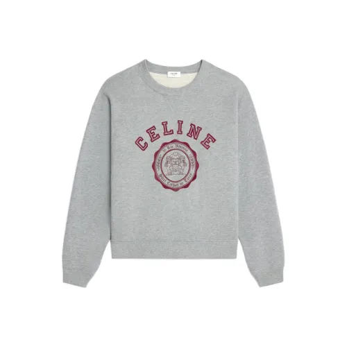 CELINE SS24 Свитшот Мужской Серый