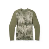 Зимний Лесной мшистый Лес