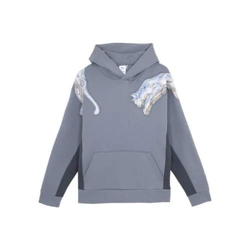 Puma x Empty Гора Основа Co Branded Модель Серый Унисекс Толстовки