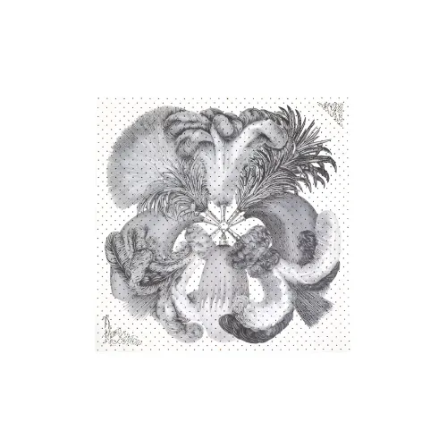 HERMES Шелковые шарфы Женские Белый Черный Серый