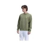 Шалфейный зеленый