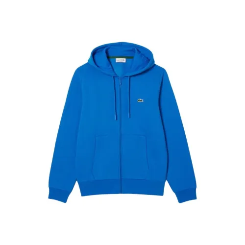 LACOSTE Collaboration Мужские Синие Свитшоты