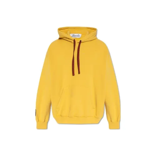 Lanvin Желтые Мужские Свитшоты