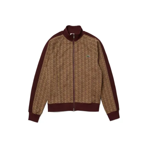 LACOSTE Коричневый Унисекс Свитшоты