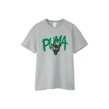 Светло-серый смешанный цвет