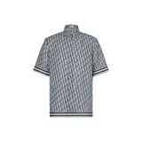 Серо-голубой