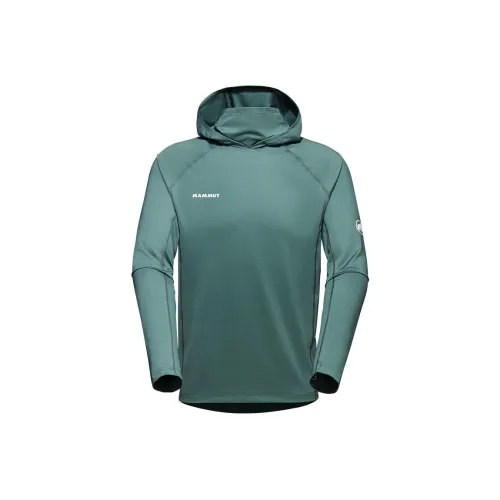 MAMMUT Толстовка AF Азиатская версия Мужская