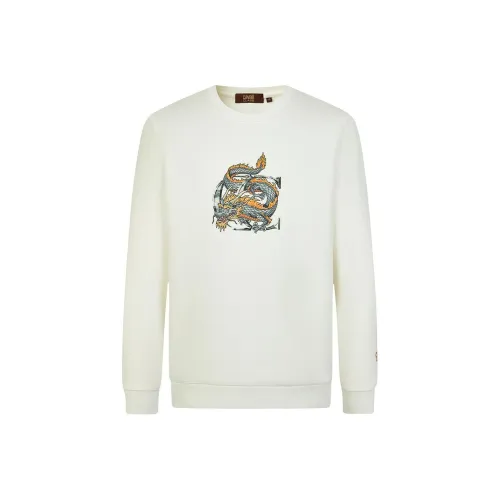 Cavalli Class Мужские Свитшоты