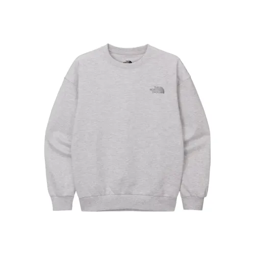 THE NORTH FACE Толстовка Мужская Серого цвета