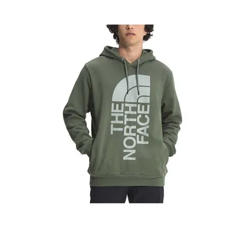 THE NORTH FACE Зеленый Мужской Свитшот