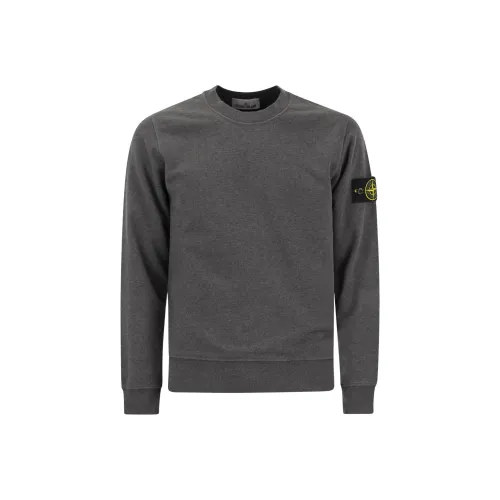 STONE ISLAND Серый Мужские Свитшоты