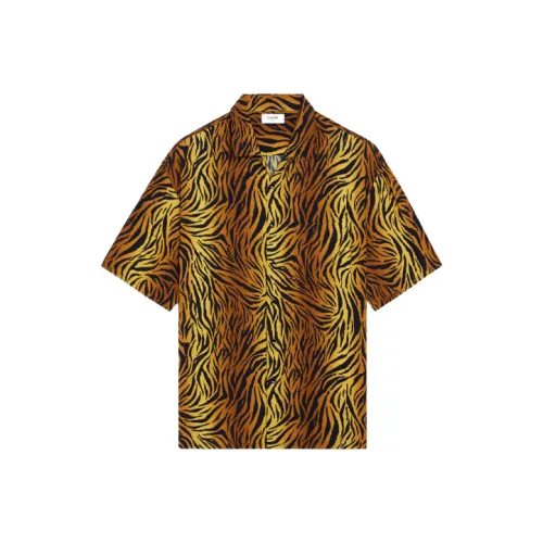 Celine Коричневые Мужские Рубашки