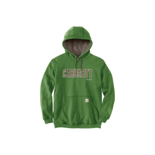 Carhartt Arborvitae Heather/Green Мужские Свитшоты