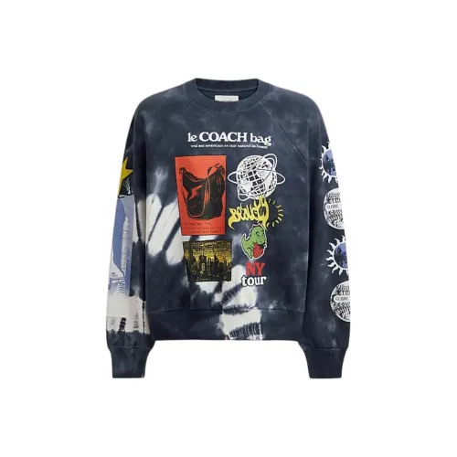 COACH SS24 Свитшот Мужской Синий