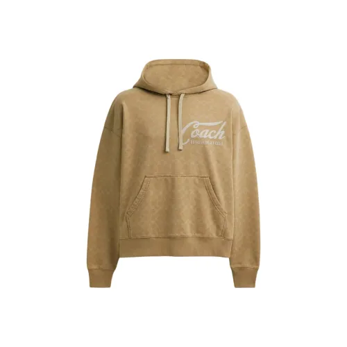 COACH Хаки Мужские Свитшоты
