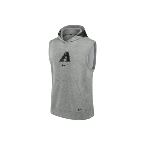 Nike MLB Коллаборация Arizona Diamondbacks Толстовка Arizona Rattlesnake Команда Мужской Серый